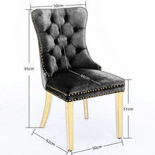 Load image into Gallery viewer, AADEN 2x Velvet Dining Chairs with Golden Metal Legs-Black
